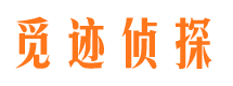 崇文市侦探